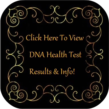 View DNA Health Test Results 