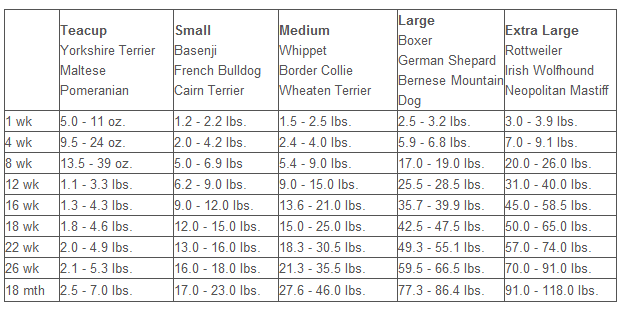 Looking for a Puppy Weight Chart?